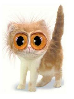 ������� �������� - 240x320