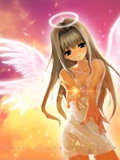 ������� �������� - 240x320