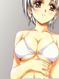 ������� �������� - 240x320