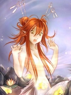 ������� �������� - 240x320