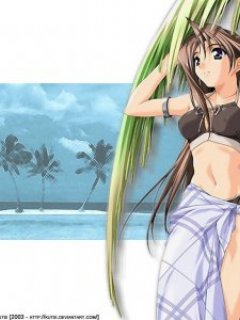 ������� �������� - 240x320