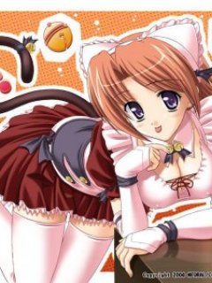 ������� �������� - 240x320