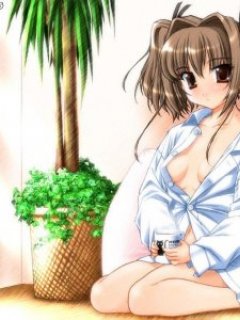 ������� �������� - 240x320