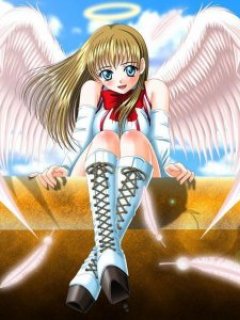 ������� �������� - 240x320
