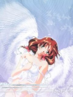 ������� �������� - 240x320