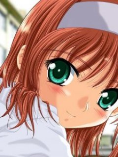 ������� �������� - 240x320