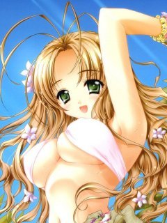 ������� �������� - 240x320
