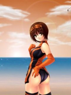 ������� �������� - 240x320
