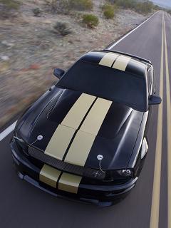 ������� �������� - 240x320