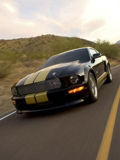 ������� �������� - 240x320