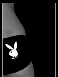 ������� �������� - 240x320