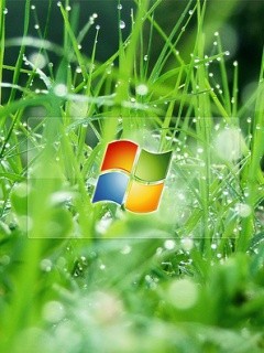 ������� �������� - 240x320