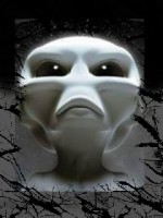 �������� ��� ���������� �������� - 3D �������������
