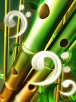 �������� ��� ���������� �������� - 3D ������