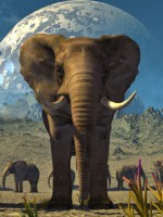 �������� ��� ���������� �������� - 3D ����