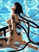 �������� ��� ���������� �������� - �����