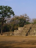 �������� ��� ���������� �������� - �����������