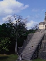 �������� ��� ���������� �������� - �����������