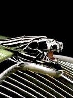 �������� ��� ���������� �������� - �358