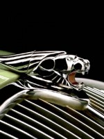 �������� ��� ���������� �������� - �����