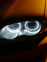 �������� ��� ���������� �������� - ����