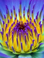 �������� ��� ���������� �������� - �204