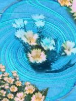 �������� ��� ���������� �������� - �207