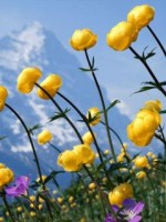�������� ��� ���������� �������� - �222