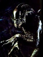 �������� ��� ���������� �������� - �����