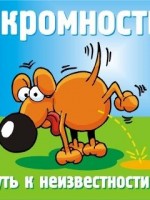 �������� ��� ���������� �������� - �163