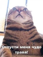 �������� ��� ���������� �������� - ������� � ���������