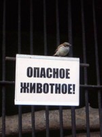�������� ��� ���������� �������� - ������ �������