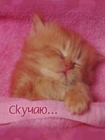 �������� ��� ���������� �������� - ��������