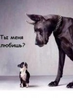 �������� ��� ���������� �������� - ��������