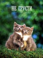 �������� ��� ���������� �������� - ��������