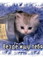 �������� ��� ���������� �������� - ��������