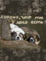 �������� ��� ���������� �������� - ��������