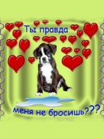 �������� ��� ���������� �������� - ��������