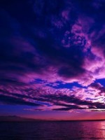 �������� ��� ���������� �������� - �86