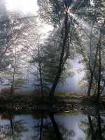�������� ��� ���������� �������� - �99