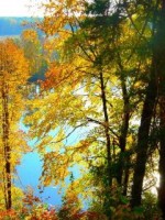 �������� ��� ���������� �������� - �103