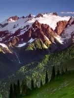 �������� ��� ���������� �������� - �105