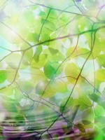 �������� ��� ���������� �������� - �601