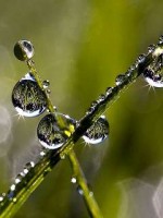 �������� ��� ���������� �������� - ���� � �����