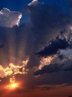 �������� ��� ���������� �������� - �����
