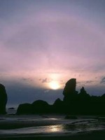 �������� ��� ���������� �������� - �����