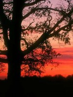�������� ��� ���������� �������� - �����