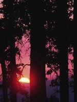 �������� ��� ���������� �������� - �����