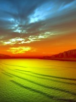 �������� ��� ���������� �������� - �����