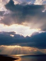 �������� ��� ���������� �������� - �����